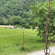 img_6913-jpg