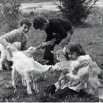 immagine3-jpg