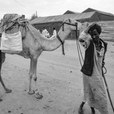 24-sudan-2c-suakin-2c-1997-jpg 24-sudan-2c-suakin-2c-1997-jpg