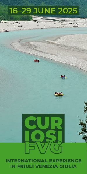 CuriosiFVG 2025
