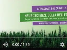 img_video.JPG