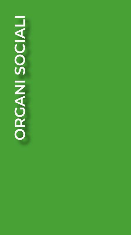Organi sociali