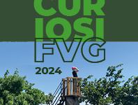 CuriosiFVG 2024