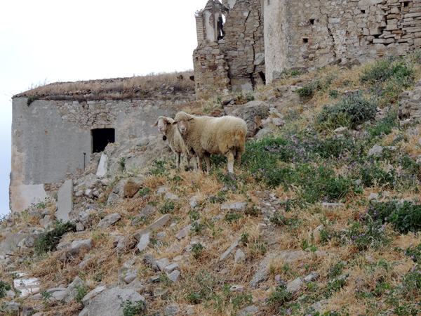 41264188f56541c6e6b19d0cdc72a88c__basilicata-548.jpg