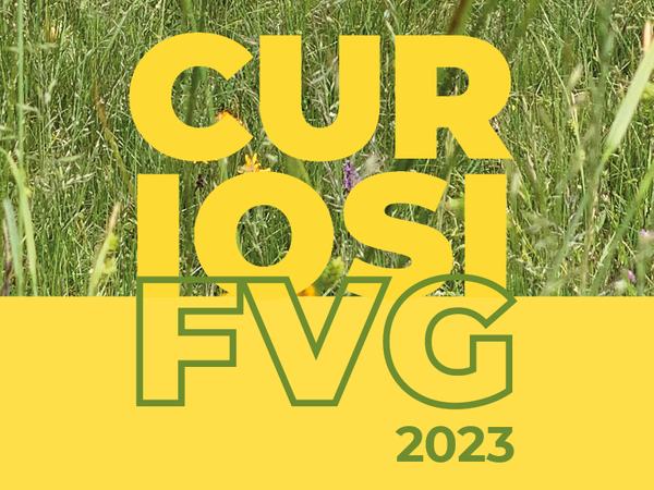 CuriosiFVG 2023