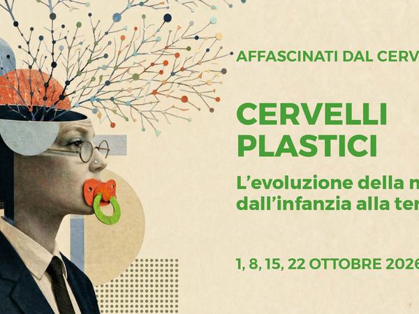 Cervelli plastici