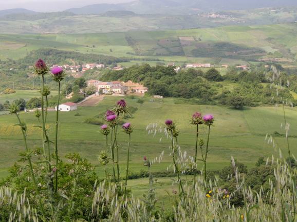 5f8adcd4e6156de9f1e0dd340b381cd6__basilicata-072.jpg
