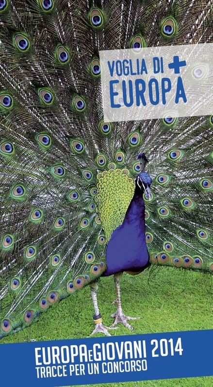 Concorso
Europa e Giovani 2014