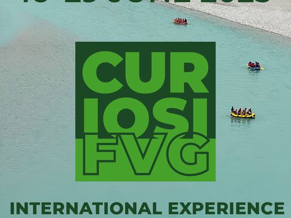 CuriosiFVG 2025