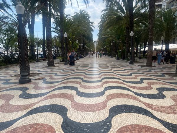 a685af0f0fb043748467338c777c865c__eiuc5552-jpg