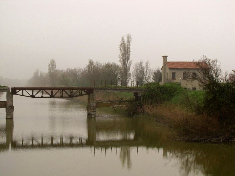 Il Delta del Po