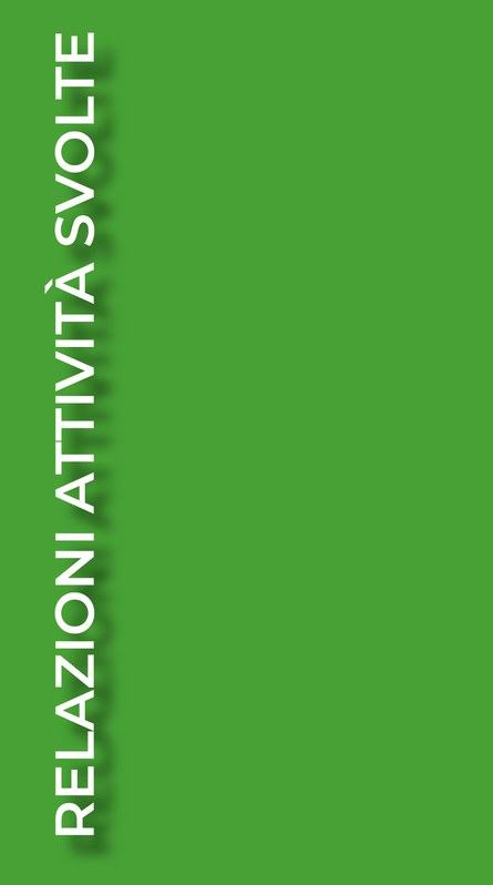 Relazioni attività svolte