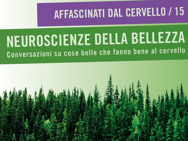 Neuroscienze della bellezza