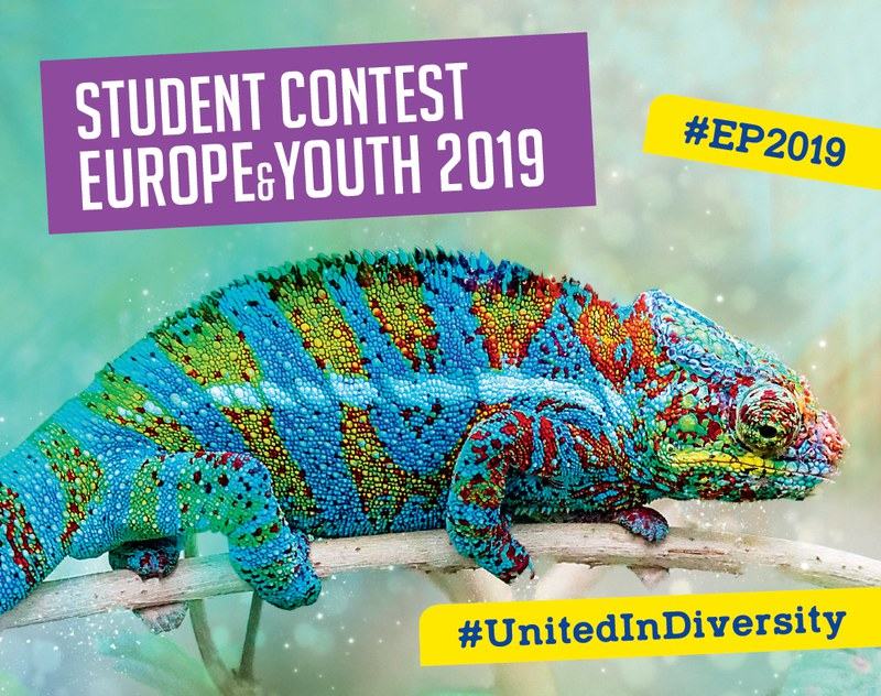 Europe&Youth 2019International Student Contest