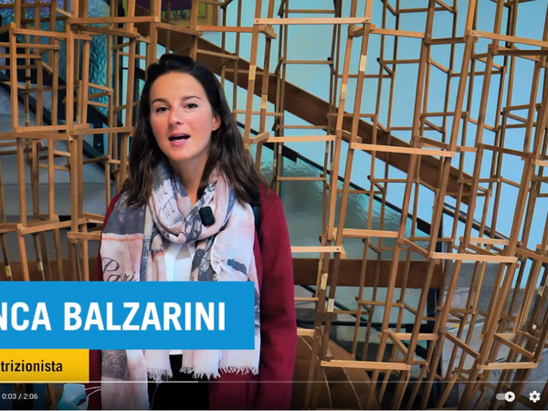 balzarini.PNG
