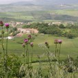 basilicata-072.jpg