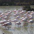 img_2201.jpg