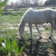 img_2207.jpg